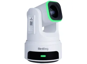 X4E Ultra - White - BirdDog
