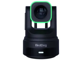 X4 Ultra - Black - BirdDog