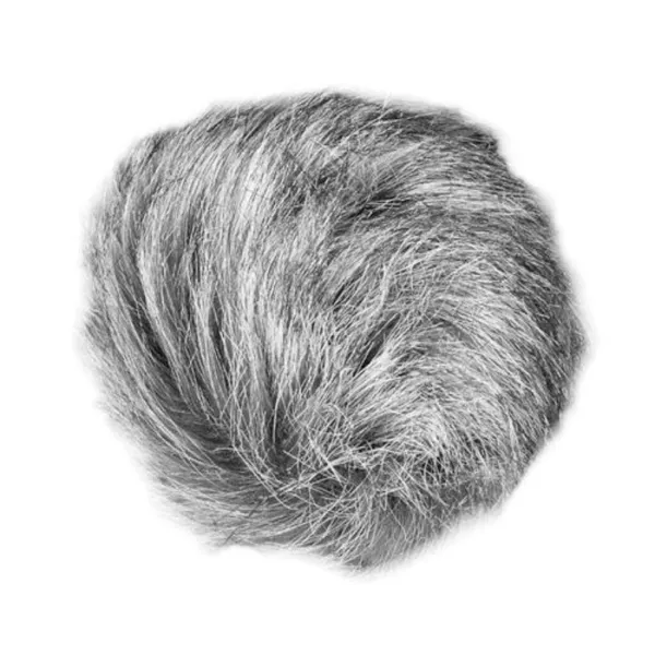 WSU-1 - Zoom