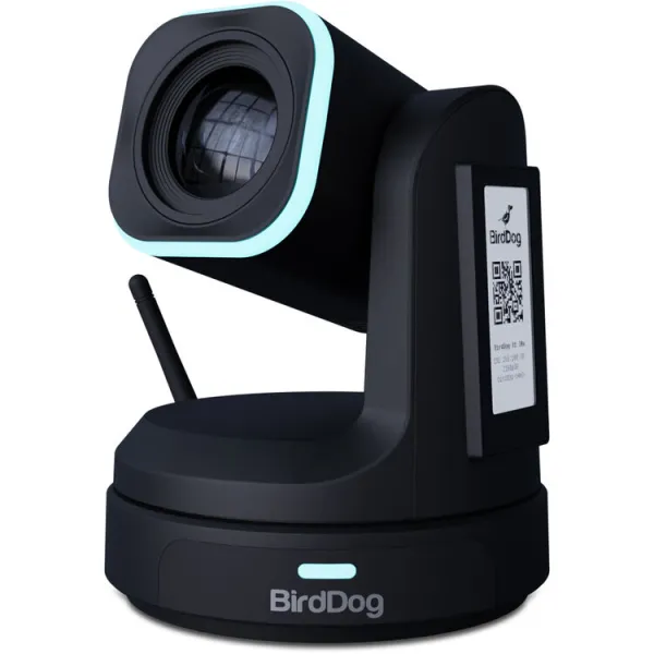 X1-30 - Black - BirdDog