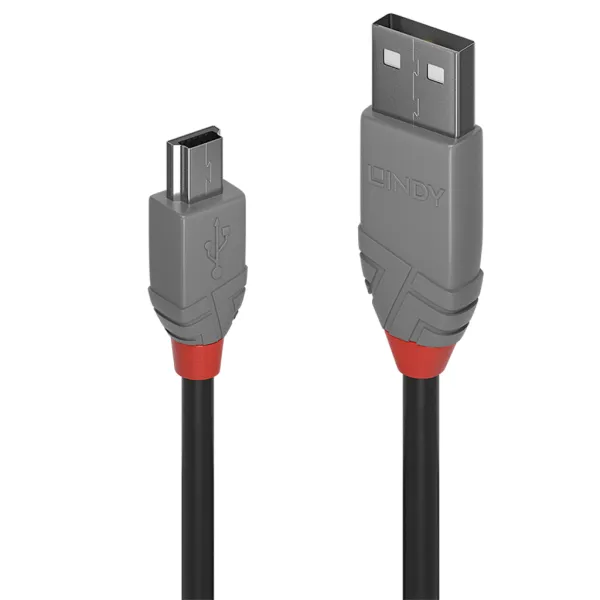 USB 2.0 A/Mini-B 1m - Lindy